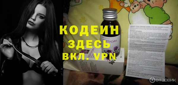 гидра Бородино